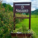 Nasares *