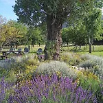 Nasares San Juan de Parres