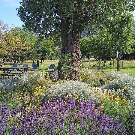 ñasares San Juan de Parres