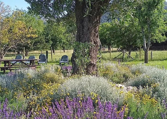 ñasares San Juan de Parres